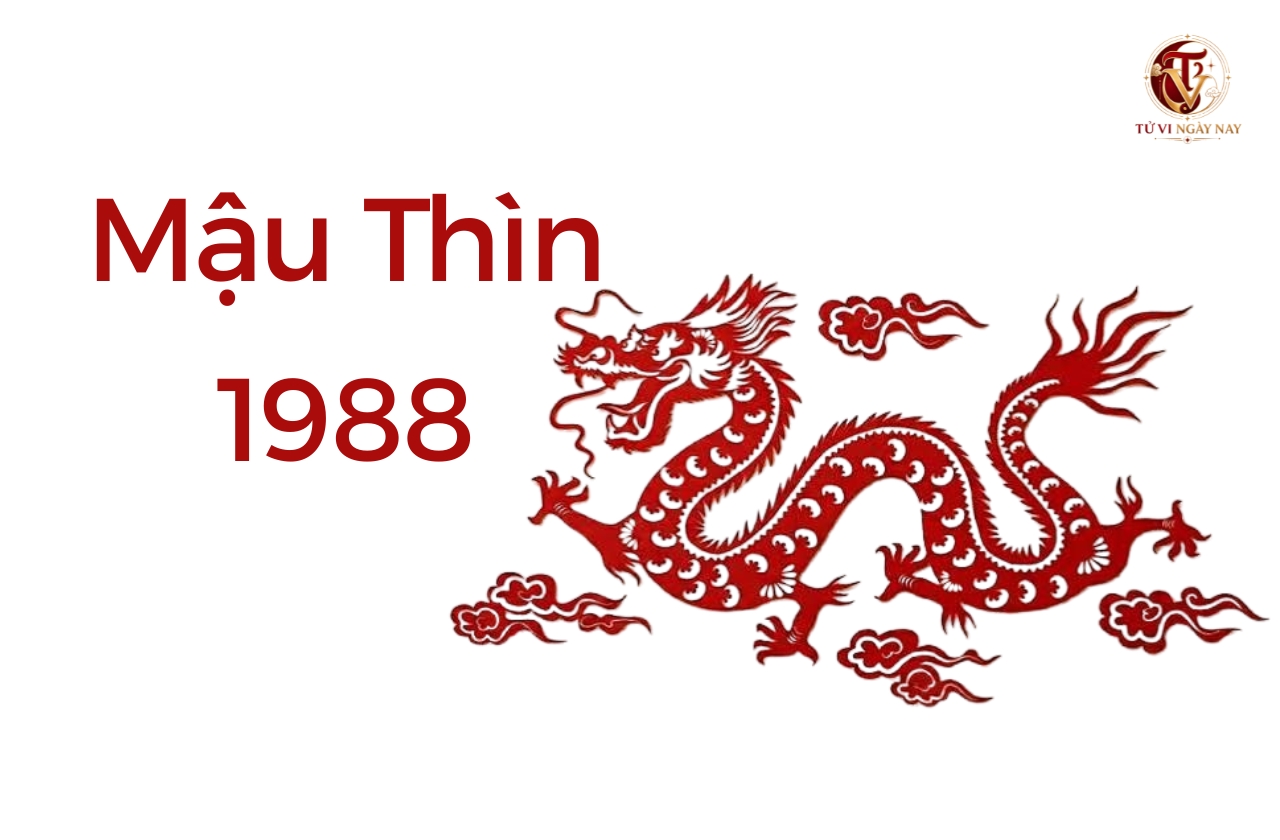 Tuổi Mậu Thìn 1988 hợp với tuổi nào trong làm ăn, lấy vợ chồng tuổi gì?