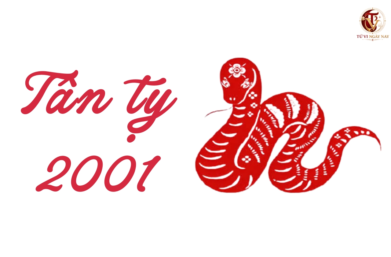 Xem tử vi trọn đời tuổi Tân Tỵ 2001 nam mạng chi tiết chính xác