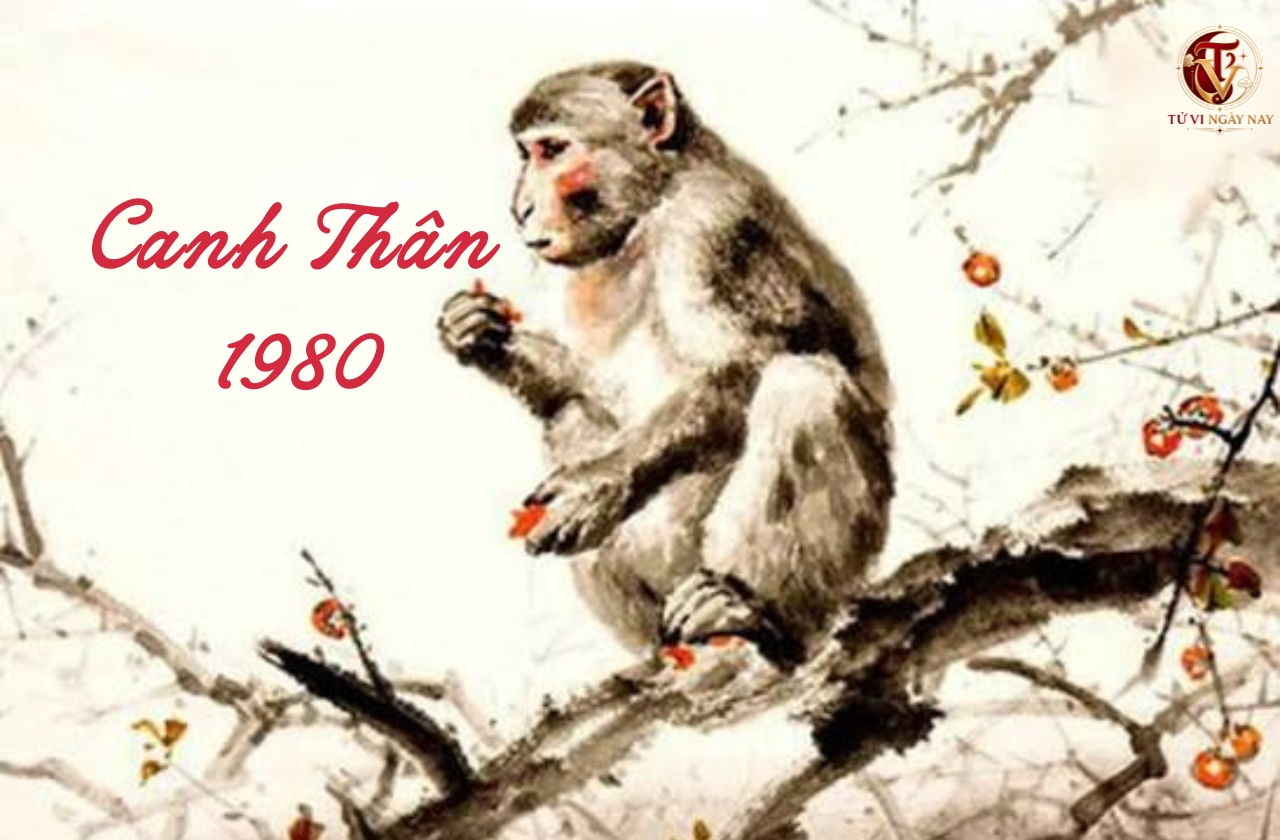 Xem tử vi trọn đời tuổi Canh Thân 1980 nữ mạng chi tiết chính xác