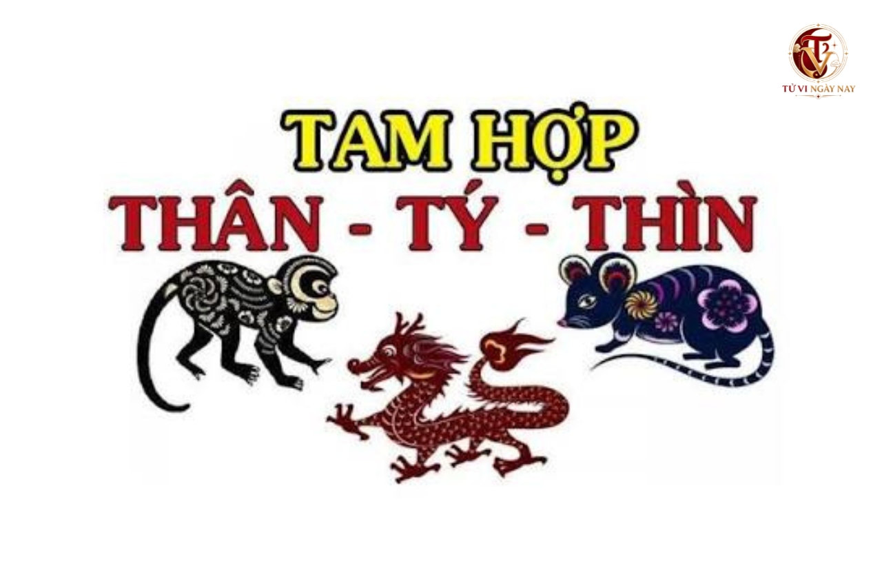 Tam hợp Thân Tý Thìn: Bộ 3 con giáp ăn ý khi kết hợp với nhau