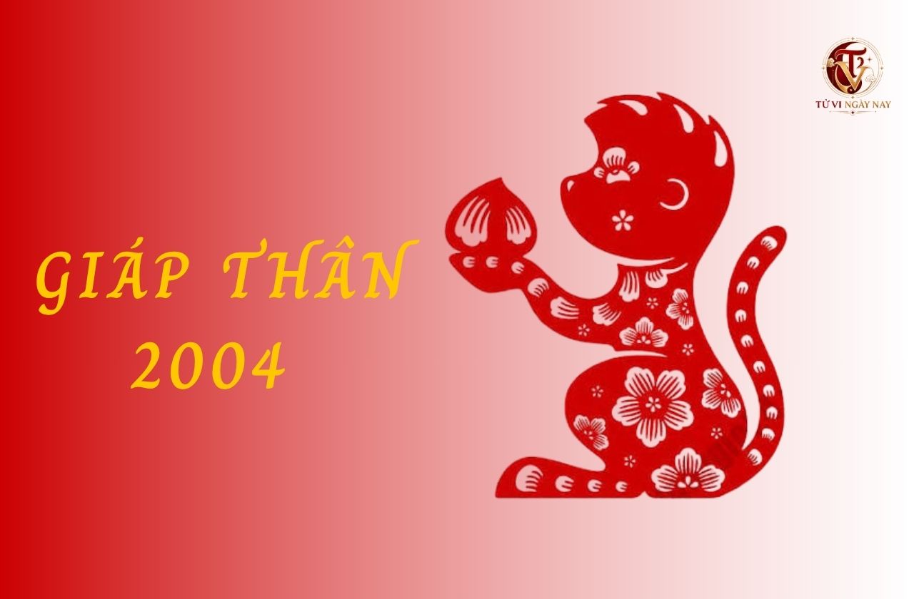 Xem tử vi trọn đời tuổi Giáp Thân 2004 nam mạng chi tiết chính xác