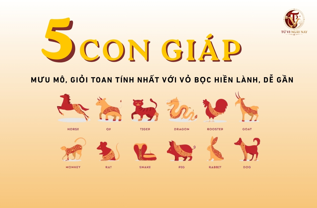 Top 5 con giáp mưu mô, giỏi toan tính nhất với vỏ bọc hiền lành, dễ gần