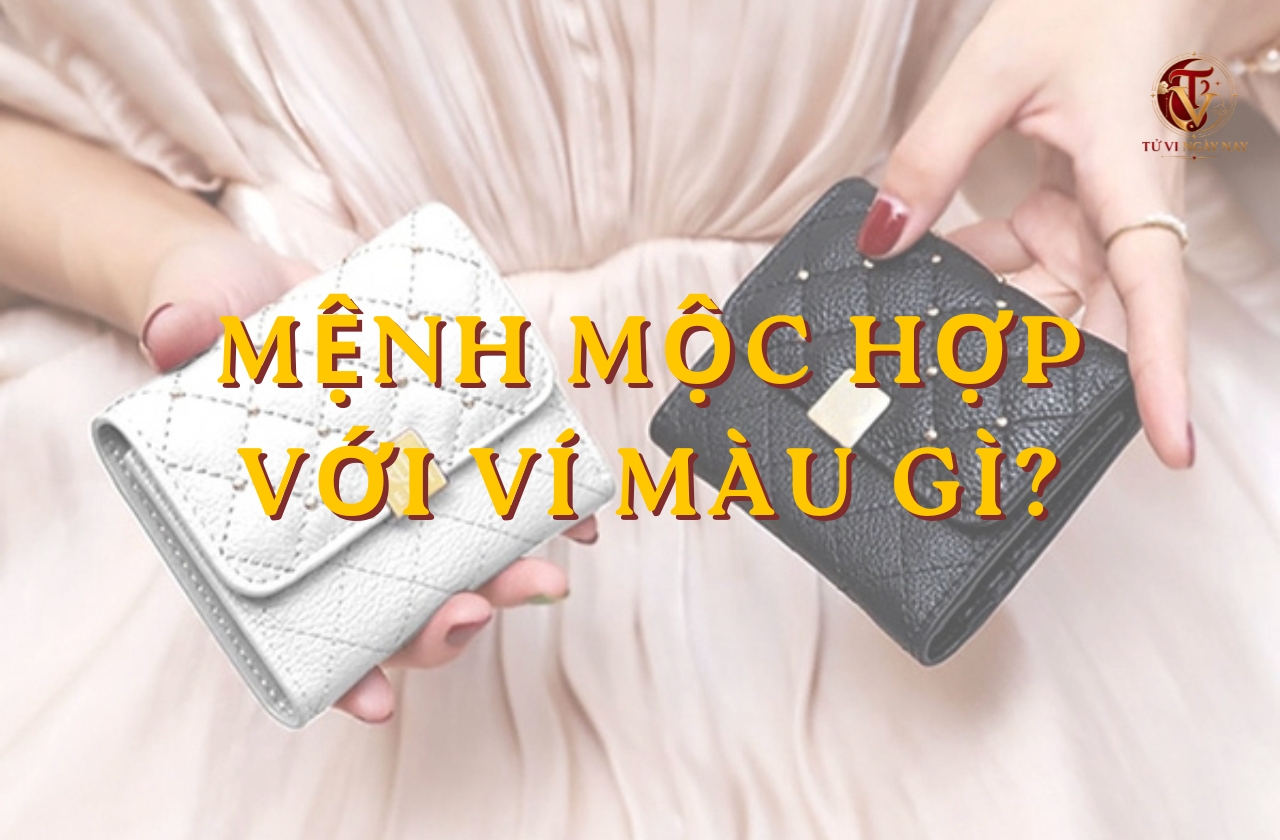 Mệnh Mộc hợp với ví màu gì? Lựa chọn màu nào để tiền bạc luôn dư dả?