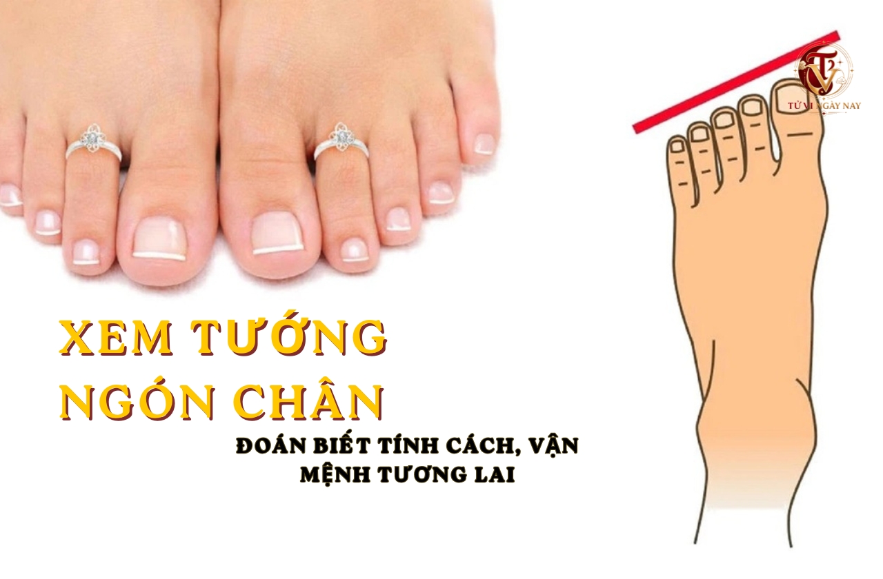 Xem tướng ngón chân đoán biết tính cách, vận mệnh tương lai