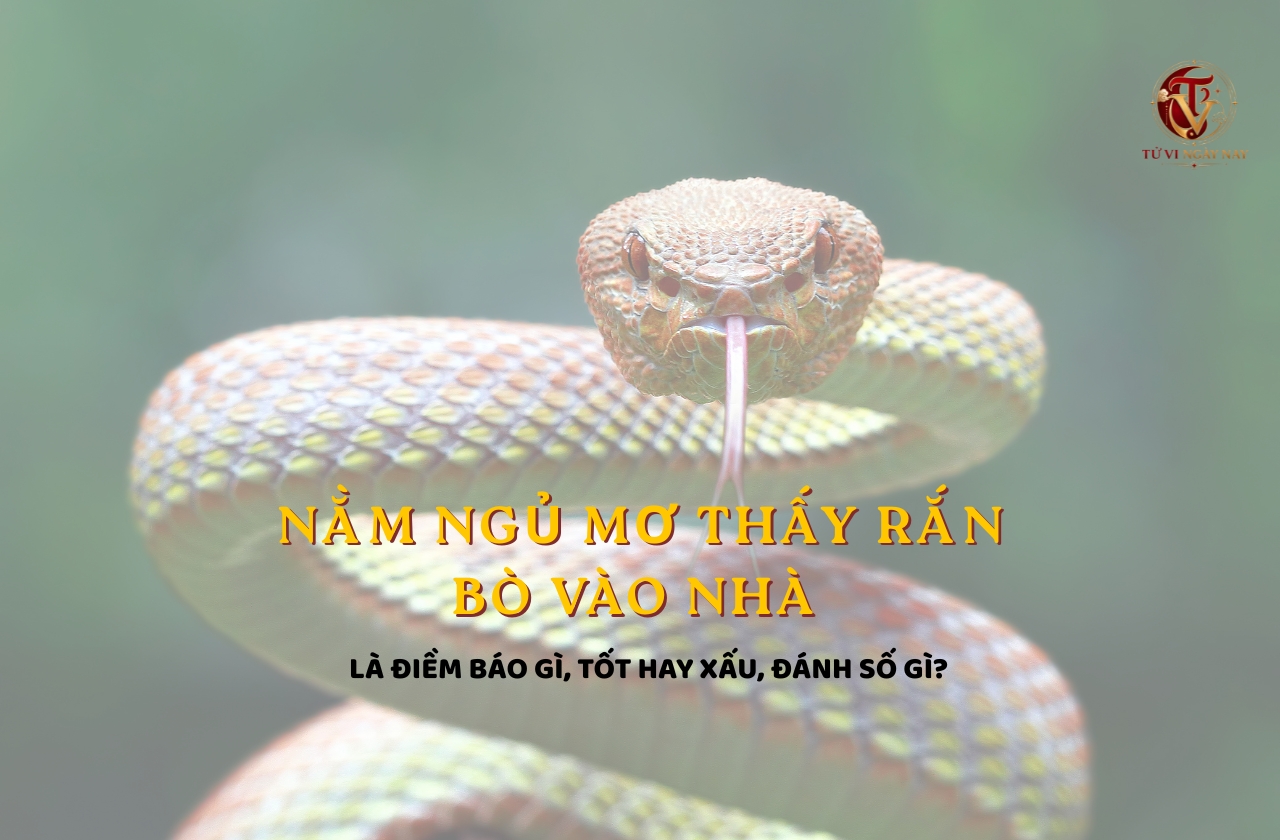 Nằm ngủ mơ thấy rắn bò vào nhà là điềm báo gì, tốt hay xấu, đánh số gì?